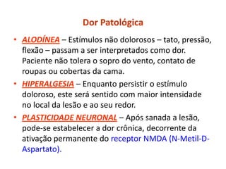 Dor Patológica
• ALODÍNEA – Estímulos não dolorosos – tato, pressão,
flexão – passam a ser interpretados como dor.
Paciente não tolera o sopro do vento, contato de
roupas ou cobertas da cama.
• HIPERALGESIA – Enquanto persistir o estímulo
doloroso, este será sentido com maior intensidade
no local da lesão e ao seu redor.
• PLASTICIDADE NEURONAL – Após sanada a lesão,
pode-se estabelecer a dor crônica, decorrente da
ativação permanente do receptor NMDA (N-Metil-D-
Aspartato).
 