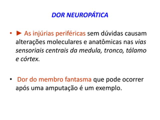 DOR NEUROPÁTICA
• ► As injúrias periféricas sem dúvidas causam
alterações moleculares e anatômicas nas vias
sensoriais centrais da medula, tronco, tálamo
e córtex.
• Dor do membro fantasma que pode ocorrer
após uma amputação é um exemplo.
 
