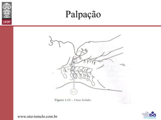 Palpação

www.otaviomelo.com.br

 