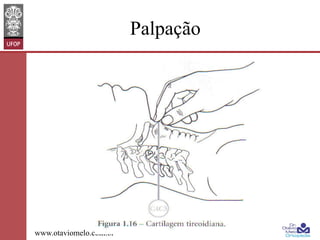 Palpação

www.otaviomelo.com.br

 