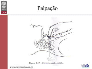 Palpação

www.otaviomelo.com.br

 