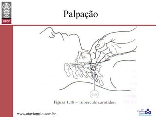 Palpação

www.otaviomelo.com.br

 