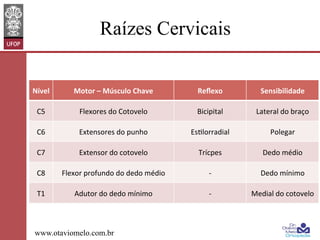 Raízes Cervicais
Nível	
  

Motor	
  –	
  Músculo	
  Chave	
  

Reﬂexo	
  

Sensibilidade	
  

C5	
  

Flexores	
  do	
  Cotovelo	
  

Bicipital	
  

Lateral	
  do	
  braço	
  

C6	
  

Extensores	
  do	
  punho	
  

EsClorradial	
  

Polegar	
  	
  

C7	
  

Extensor	
  do	
  cotovelo	
  

Trícpes	
  

Dedo	
  médio	
  

C8	
  

Flexor	
  profundo	
  do	
  dedo	
  médio	
  

-­‐	
  

Dedo	
  mínimo	
  

T1	
  

Adutor	
  do	
  dedo	
  mínimo	
  

-­‐	
  

Medial	
  do	
  cotovelo	
  

www.otaviomelo.com.br

 