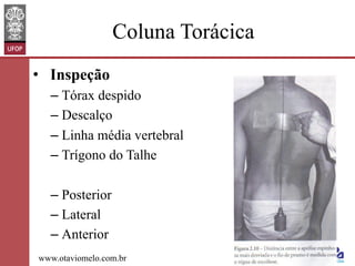 Coluna Torácica
•  Inspeção
–  Tórax despido
–  Descalço
–  Linha média vertebral
–  Trígono do Talhe
–  Posterior
–  Lateral
–  Anterior
www.otaviomelo.com.br

 