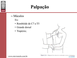 Palpação
–  Múculos
Ex:
•  Rombóide de C7 a T5
•  Grande dorsal
•  Trapézio;

www.otaviomelo.com.br

 