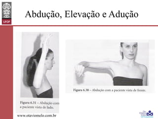 Abdução, Elevação e Adução

www.otaviomelo.com.br

 