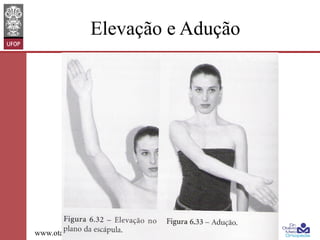 Elevação e Adução

www.otaviomelo.com.br

 