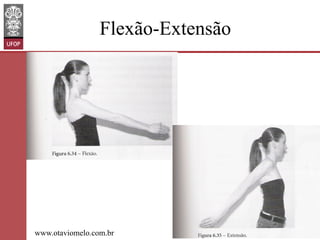 Flexão-Extensão

www.otaviomelo.com.br

 
