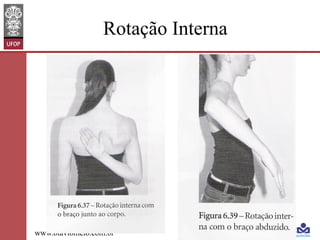 Rotação Interna

www.otaviomelo.com.br

 