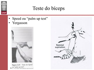 Teste do bíceps
•  Speed ou “palm up test”
•  Yergasson

www.otaviomelo.com.br

 