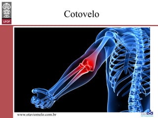 Cotovelo

www.otaviomelo.com.br

 