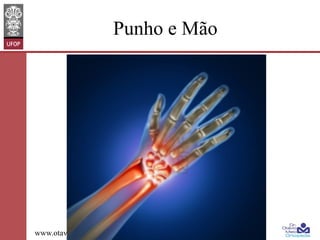 Punho e Mão

www.otaviomelo.com.br

 