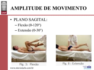 AMPLITUDE DE MOVIMENTO
•  PLANO SAGITAL:
–  Flexão (0-120°)
–  Extensão (0-30°)

www.otaviomelo.com.br

 