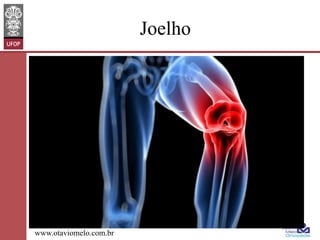 Joelho

www.otaviomelo.com.br

 