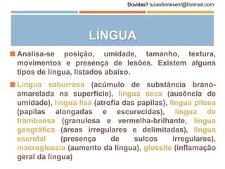 LÍNGUA
 Analisa-se posição, umidade, tamanho, textura,
movimentos e presença de lesões. Existem alguns
tipos de língua, listados abaixo.
 Língua saburrosa (acúmulo de substância brano-
amarelada na superfície), língua seca (ausência de
umidade), língua lisa (atrofia das papilas), língua pilosa
(papilas alongadas e escurecidas), língua de
framboesa (granulosa e vermelha-brilhante, língua
geográfica (áreas irregulares e delimitadas), língua
escrotal (presença de sulcos irregulares),
macroglossia (aumento da língua), glossite (inflamação
geral da língua)
Dúvidas? lucasfontesenf@hotmail.com
 