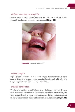 SemiologiaPediatrica.pdf