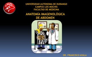ANATOMÍA IMAGENOLÓGICA
DE ABDOMEN
DR. FRANCISCO AYALA
UNIVERSIDAD AUTONOMA DE DURANGO
CAMPUS LOS MOCHIS
FACULTAD DE MEDICINA
 