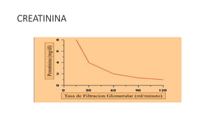 CREATININA
 