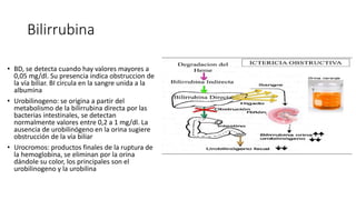 Bilirrubina
• BD, se detecta cuando hay valores mayores a
0,05 mg/dl. Su presencia indica obstruccion de
la vía biliar. BI circula en la sangre unida a la
albumina
• Urobilinogeno: se origina a partir del
metabolismo de la bilirrubina directa por las
bacterias intestinales, se detectan
normalmente valores entre 0,2 a 1 mg/dl. La
ausencia de urobilinógeno en la orina sugiere
obstrucción de la vía biliar
• Urocromos: productos finales de la ruptura de
la hemoglobina, se eliminan por la orina
dándole su color, los principales son el
urobilinogeno y la urobilina
 