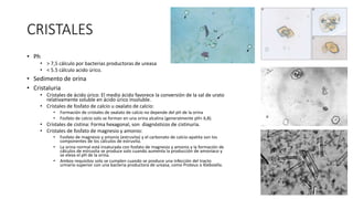 CRISTALES
• Ph
• > 7,5 cálculo por bacterias productoras de ureasa
• < 5.5 cálculo acido úrico.
• Sedimento de orina
• Cristaluria
• Cristales de ácido úrico: El medio ácido favorece la conversión de la sal de urato
relativamente soluble en ácido úrico insoluble.
• Cristales de fosfato de calcio u oxalato de calcio:
• Formación de cristales de oxalato de calcio no depende del pH de la orina
• Fosfato de calcio solo se forman en una orina alcalina (generalmente pH> 6,8).
• Cristales de cistina: Forma hexagonal, son diagnósticos de cistinuria.
• Cristales de fosfato de magnesio y amonio:
• Fosfato de magnesio y amonio (estruvita) y el carbonato de calcio-apatita son los
componentes de los cálculos de estruvita.
• La orina normal está insaturada con fosfato de magnesio y amonio y la formación de
cálculos de estruvita se produce solo cuando aumenta la producción de amoníaco y
se eleva el pH de la orina.
• Ambos requisitos solo se cumplen cuando se produce una infección del tracto
urinario superior con una bacteria productora de ureasa, como Proteus o Klebsiella.
 