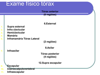Exame físico tórax
Tórax anterior
(6 regiões)
6.Esternal
1. Supra esternal
2. Infra clavicular
3. Hemiclavicular
4. Mamária
5. Inframamária Tórax Lateral
(2 regiões)
8.Axilar
7. Infraaxilar
Tórax posterior
(4 regiões)
12.Supra escapular
9. Escapular
10. Interescalpulovertebral
11. Infraescapular
 