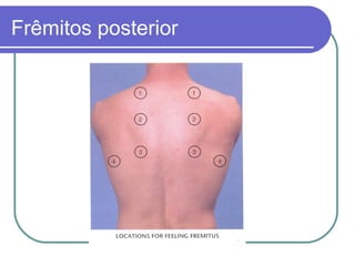 Frêmitos posterior
 