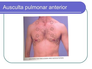 Ausculta pulmonar anterior
 