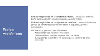  Linhas imaginárias na face lateral do tórax: Linha axilar anterior;
Linha axilar posterior; Linha hemiaxilar ou axilar média
 Linhas imaginárias na face posterior do tórax: Linha médio-espinal
(divide os hemitórax posterior em direito e esquerdo); Linhas
escapulares.
 O tórax pode, portanto, ser dividido em
 face anterior, face posterior e face lateral
 Segmentada em 3 regiões: superior, inferior e média.
 EX.: presença de estertores na região superior e anterior do tórax
esquerdo.
Pontos
Anatômicos
 