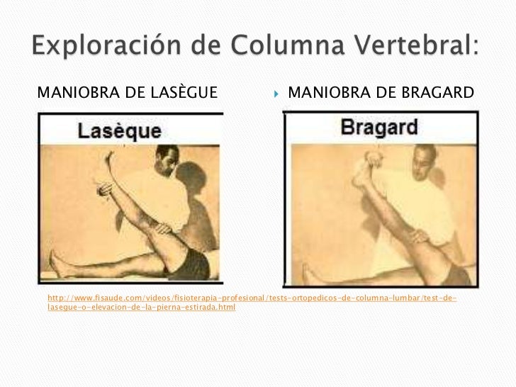 Semiologia reumatologica parte 1/3 Semiologia reumatologica parte 1/3