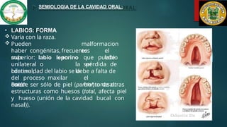 Labios Razas Semiologia y afecciones de la cavidad bucal pdf (1).pptx
