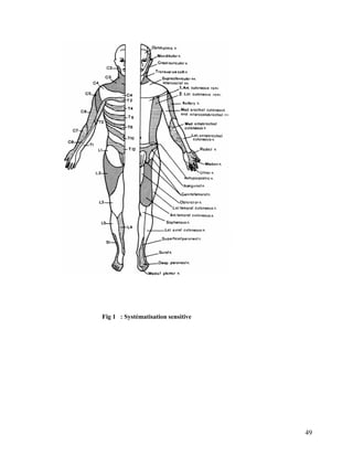 49
Fig 1 : Systématisation sensitive
 