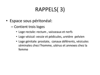 RAPPELS( 3)
• Espace sous péritonéal:
– Contient trois loges
• Loge rectale: rectum , vaisseaux et nerfs
• Loge vésical: v...