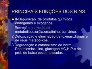 PRINCIPAIS FUNÇÕES DOS RINS
 II-Depuração de produtos químicos
  endógenos e exógenos.
1.Excreção de resíduos
  metabólicos:uréia,creatinina, ác. Úrico.
2.Detoxicação e eliminação de toxinas,drogas e
  de seus metabólicos.
3.Degradação e catabolismo de horm.
  Peptídios:insulina, glucagon,HC,H P.e de
  prot. de baixo peso molecular.
 