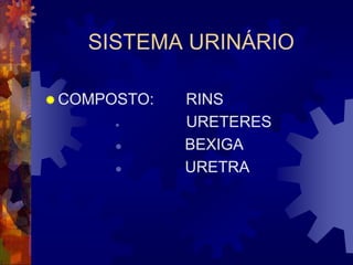 SISTEMA URINÁRIO

 COMPOSTO:   RINS
             URETERES
             BEXIGA
             URETRA
 