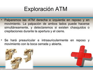 Exploración ATM
• Palparemos las ATM derecha e izquierda en reposo y en
  movimiento. La palpación de ambos lados puede hacerse
  simultáneamente, y detectaremos si existen chasquidos o
  crepitaciones durante la apertura y el cierre.

• Se hará preauricular e intraauricularmente en reposo y
  movimiento con la boca cerrada y abierta.
 