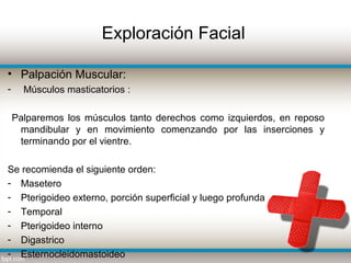 Exploración Facial

• Palpación Muscular:
-     Músculos masticatorios :

    Palparemos los músculos tanto derechos como izquierdos, en reposo
     mandibular y en movimiento comenzando por las inserciones y
     terminando por el vientre.

Se recomienda el siguiente orden:
- Masetero
- Pterigoideo externo, porción superficial y luego profunda
- Temporal
- Pterigoideo interno
- Digastrico
- Esternocleidomastoideo
 