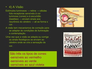 4) A Visão  Estímulos luminosos  ->  retina  ->  células foto-receptoras sensíveis à cor luminosa (cones) e à escuridão (bastões)  ->  enviam sinais aos neurônios do cérebro  ->  ali se forma s cor. A visão tem mecanismos de correção para se adaptar às condições de iluminação e contemplação. Uma vez que a visão se adapta ou corrige os sinais fisiológicos se enviam ao cérebro onde se cria a sensação de cor.   São três os tipos de cones: -sensíveis ao vermelho -sensíveis ao verde -sensíveis ao azul violeta   