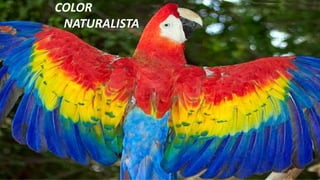 COLOR
NATURALISTA
 