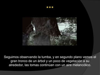 Seguimos observando la tumba, y en segundo plano vemos el
   gran tronco de un árbol y un poco de vegetación a su
  alrededor, las tomas continúan con un aire melancólico.
 