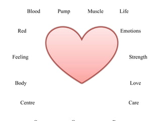 Blood  Pump  Muscle  Life  Red  Emotions  Feeling  Strength  Body  Love  Centre  Care   Organ  Courage  Bravery  Sincerity  Determination 