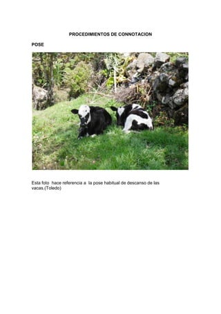 PROCEDIMIENTOS DE CONNOTACION

POSE




Esta foto hace referencia a la pose habitual de descanso de las
vacas.(Toledo)
 