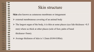 Skin structure
Skin also known as cutaneous membrane or integument
 external membranous covering of an animal body
 The largest organ of the body, it is thin at some places (eye lids thickness =0.5
mm) where as thick at other places (sole of foot, palm of hand
thickness=5mm).
 Average thickness of skin is 1-2mm (0.04-0.08in).
 