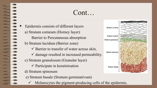 Cont…
 Epidermis consists of different layers
a) Stratum corneum (Horney layer)
Barrier to Percutaneous absorption
b) Stratum lucidum (Barrier zone)
 Barrier to transfer of water across skin,
 damage resulted in increased permeability.
c) Stratum granulosum (Granular layer)
 Participate in keratinisation
d) Stratum spinosum
e) Stratum basale (Stratum germinativum)
 Melanocytes the pigment-producing cells of the epidermis,
 