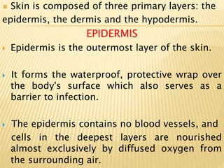  Skin is composed of three primary layers: the
epidermis, the dermis and the hypodermis.
EPIDERMIS
 Epidermis is the outermost layer of the skin.
 It forms the waterproof, protective wrap over
the body's surface which also serves as a
barrier to infection.
 The epidermis contains no blood vessels, and
cells in the deepest layers are nourished
almost exclusively by diffused oxygen from
the surrounding air.
 