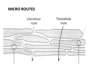 MICRO ROUTES
 