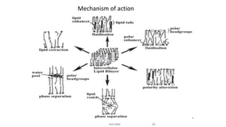 10/31/2020 23
Mechanism of action
 