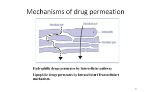 Mechanisms of drug permeation
6
Hydrophilic drugs permeates by Intercellular pathway
Lipophilic drugs permeates by Intracellular (Transcellular)
mechanism.
 