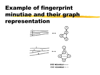 Example of fingerprint
minutiae and their graph
representation
 