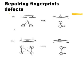 Repairing fingerprints
defects
 