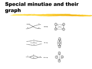 Special minutiae and their
graph
 